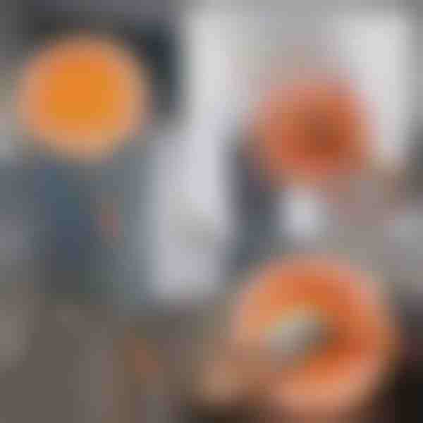 Περιστρεφόμενη Ρυθμιζόμενη Σφουγγαρίστρα Καθαρισμού 360 Μοιρών | CORALMOP