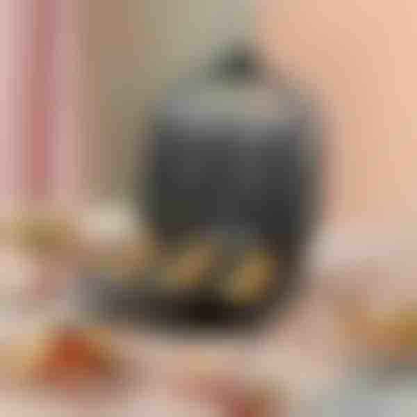 Μηχανή παρασκευής ντόνατ | DONUTPRO