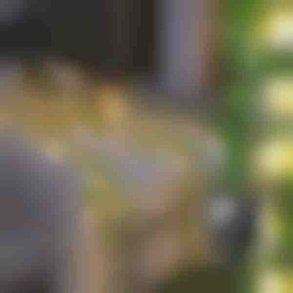 Ηλιακά φώτα με τεχνητά φύλλα κισσού (5 m) | LEAFGLO