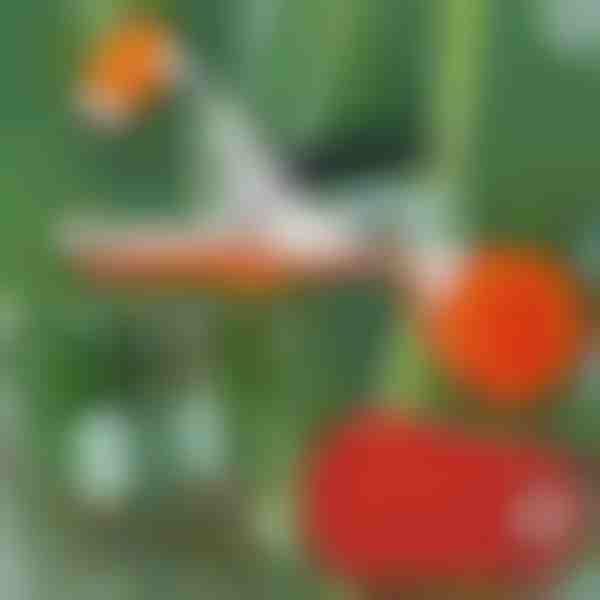 Επαγγελματικό συρραπτικό φυτών | PLANTBRAND