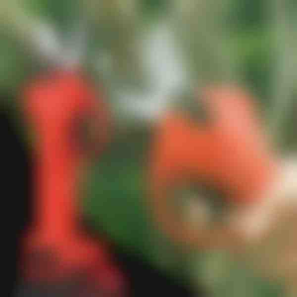 Ηλεκτρικό Ψαλίδι | WHIZZPRUNER