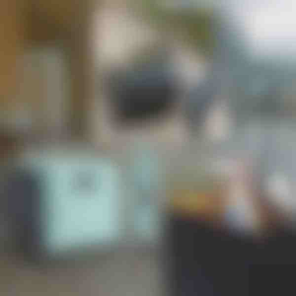 Πολυλειτουργικό καρότσι | CARRYMAX