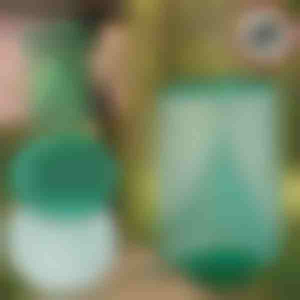 Επαναχρησιμοποιούμενη κρεμαστή παγίδα για μύγες για κήπο, βεράντα και μπαλκόνι | INSECTA