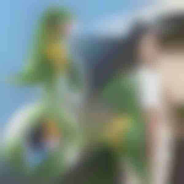 3D σακίδιο πλάτης σε σχήμα δεινοσαύρου | DINOBACK