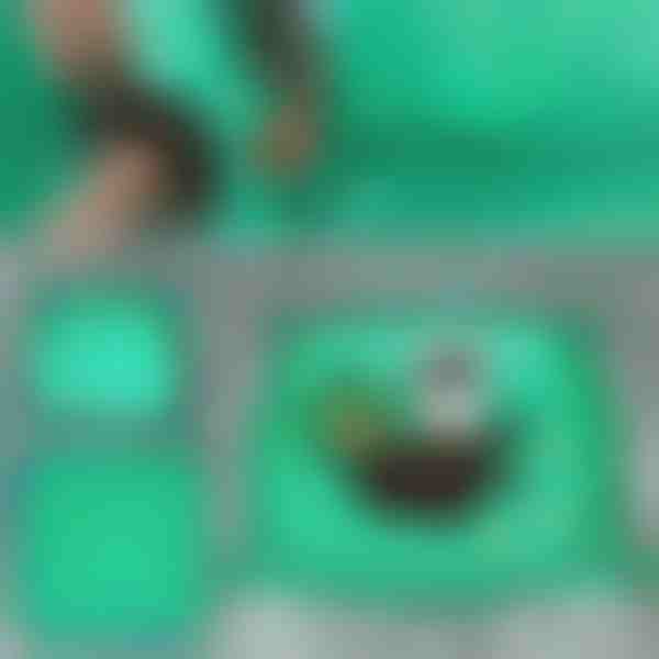 Στρώμα μεταφύτευσης για φυτά | FLORAMAT