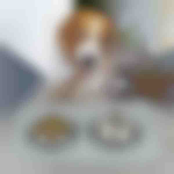 Πατάκι φαγητού κατοικίδιων | KIBBLEMAT