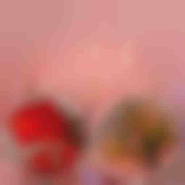 LED σειρά τριαντάφυλλα λαμπάκια (2m) | LUMEROSE