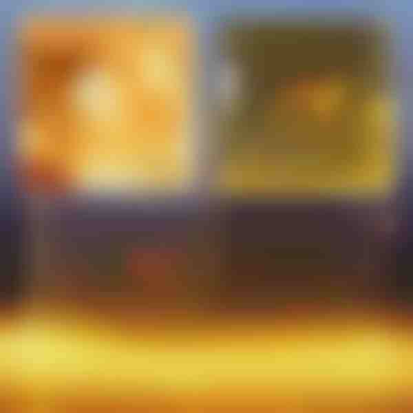 (3x2M) Εορταστικό πλέγμα φωτισμού LED | LUMONET