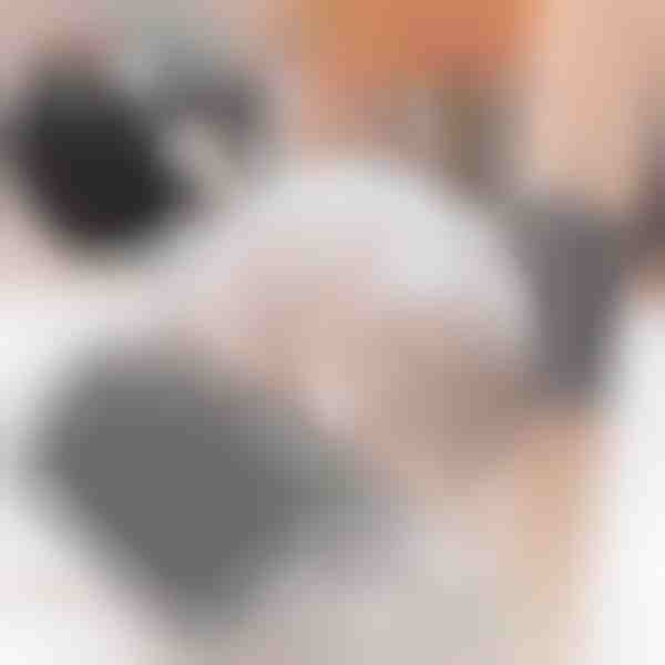 Βούρτσα περιποίησης γάτας (2τμχ) | PURRCORNER