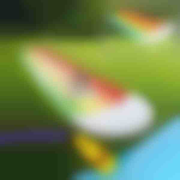 Φουσκωτή νεροτσουλήθρα (465x80cm) | REEFLY