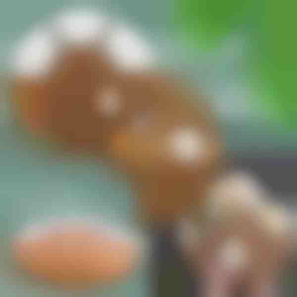 Πλήρες Σετ Σερβιρίσματος Σνακ | SNACKPLATTER