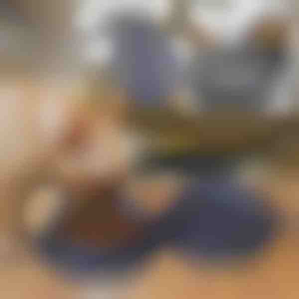 Αναδιπλούμενο μπολ 2 σε 1 για τροφή και νερό | WOOFDISH