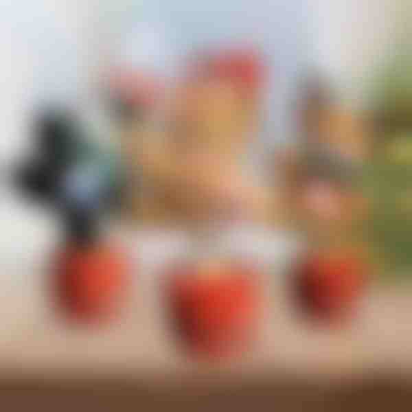 Χριστουγεννιάτικο διαδραστικό παιχνίδι χορού | DANCETKO