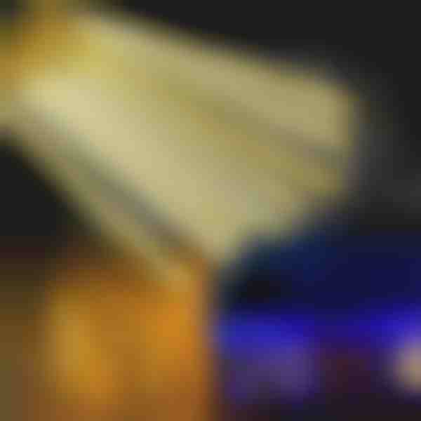 Φθινοπωρινά φώτα LED χιονιού LIGHTFALL