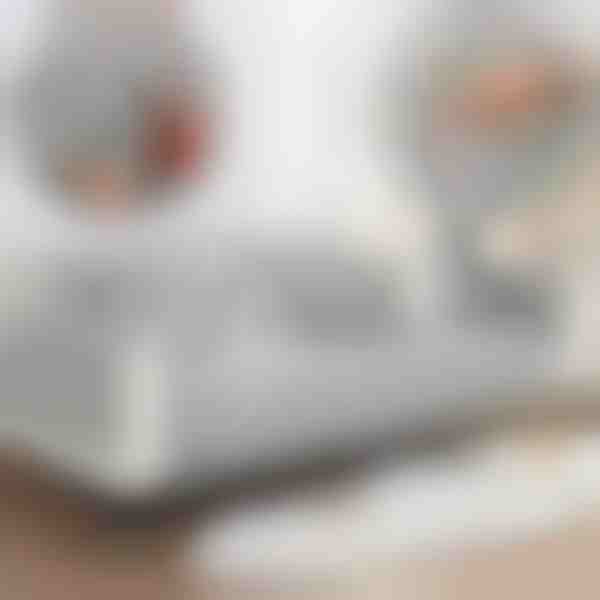 Βελούδινο κάλυμμα καναπέ | VELVECO