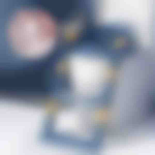 Παιδικό κάθισμα τουαλέτας με σκαλοπάτια | KIDDISTEP