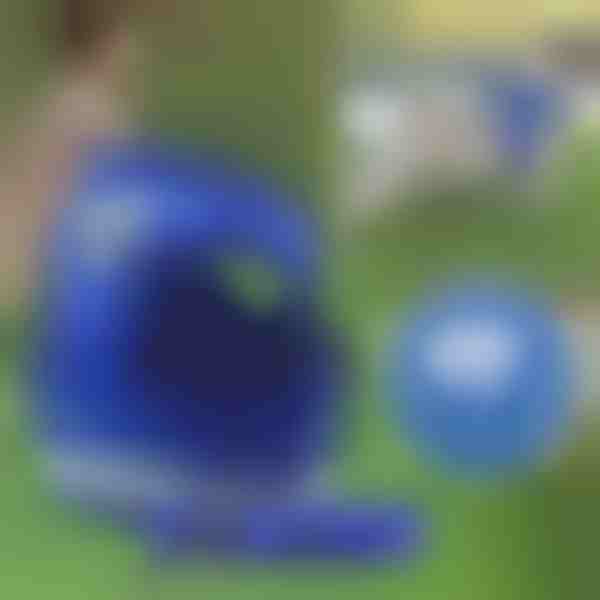 Ρυθμιζόμενη ανακλαστική ζώνη και λουρί για κατοικίδια | LEASHNGO