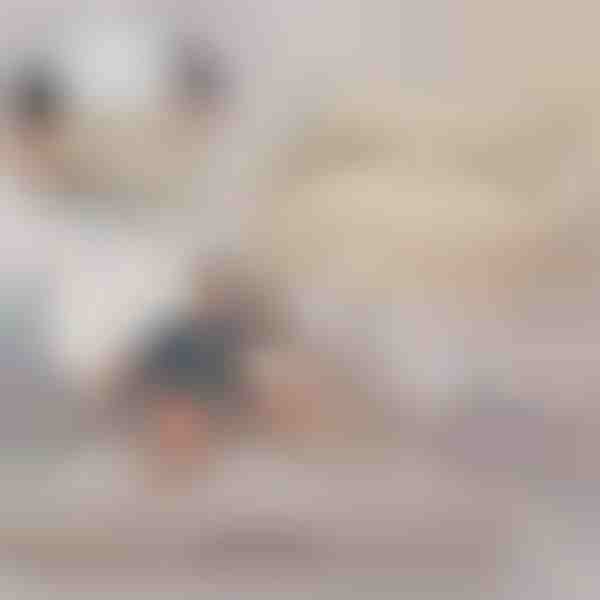 Φουσκωτός Καναπές που Μετατρέπεται σε Κρεβάτι | SOFLINKA