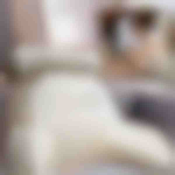 Μεγάλο μαξιλάρι πλάτης | COMFREST