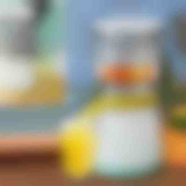 Αποχυμωτής φρούτων | VITAPRESS