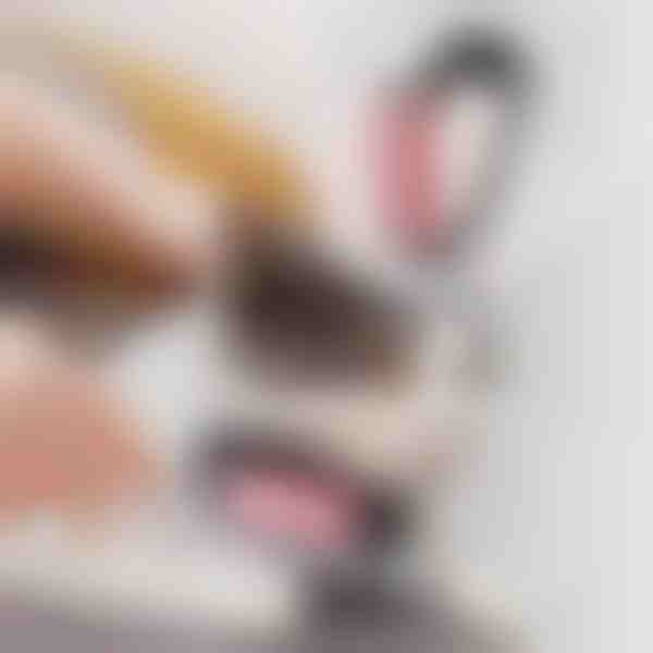 Βούρτσα καλλωπισμού κατοικίδιων ζώων 2-σε-1 | GATOBRUSH