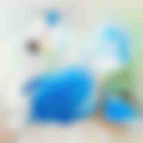 Ηλεκτρικές βούρτσες ξεσκονίσματος 360 περιστροφών | DUSTER