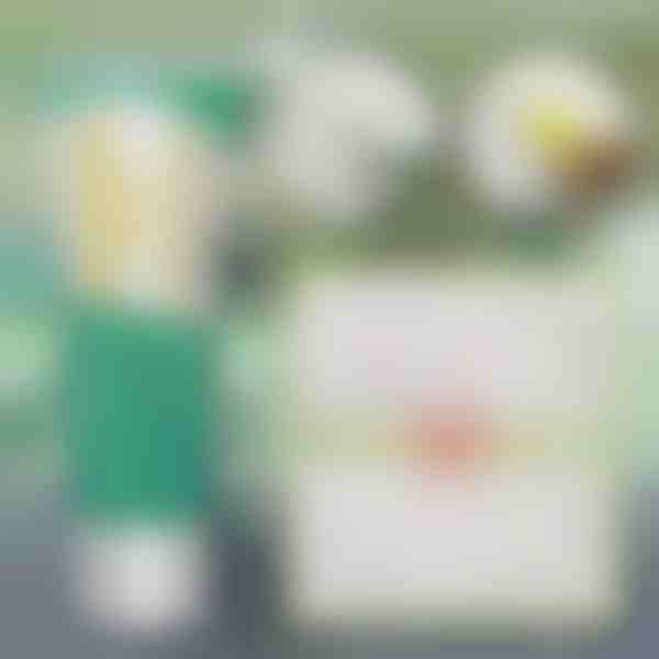 Άμεση λύση επισκευής τοίχου | WALLFIX