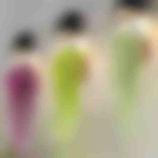 Διακοσμητικό κρεμαστό φυτό | IVYORA