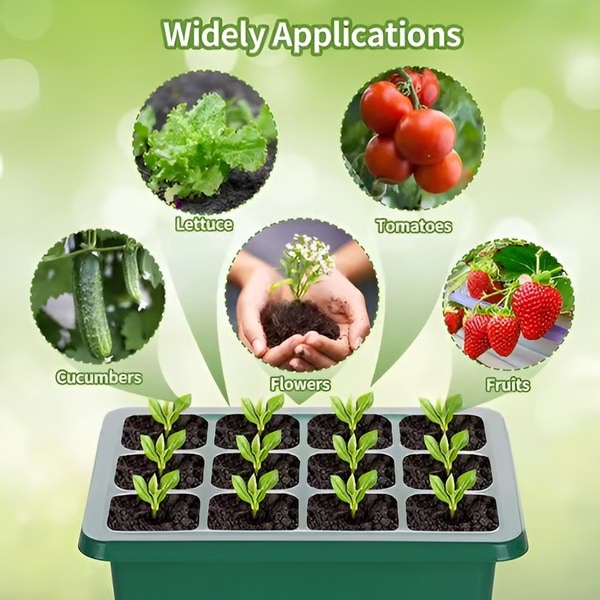 PLANTURKA14100__60b2daaa