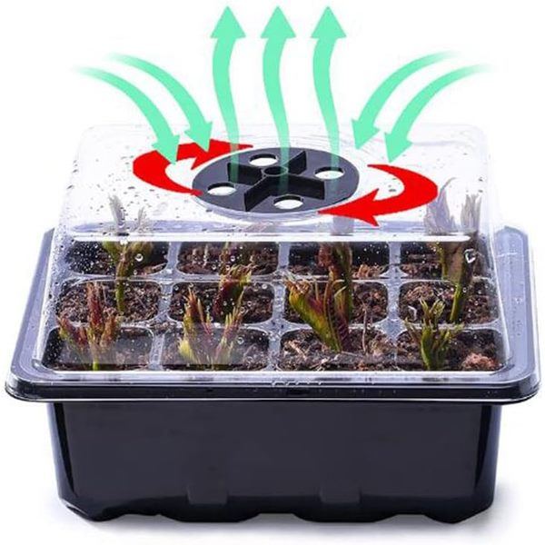 PLANTURKA15100__b704e5f1