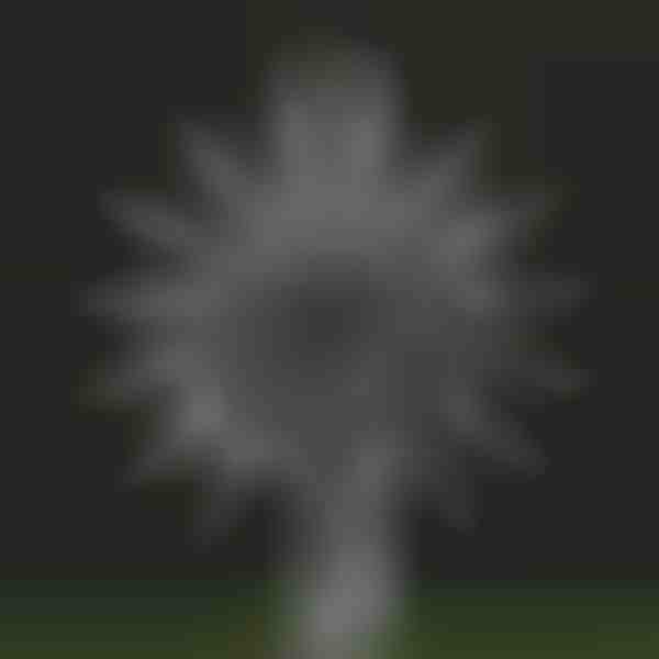 Μαγικός κινητικός ανεμόμυλος κήπου | WINDARA