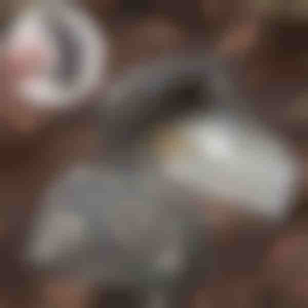 Πέτρα για απόκρυψη κλειδιών | KEYBLEND