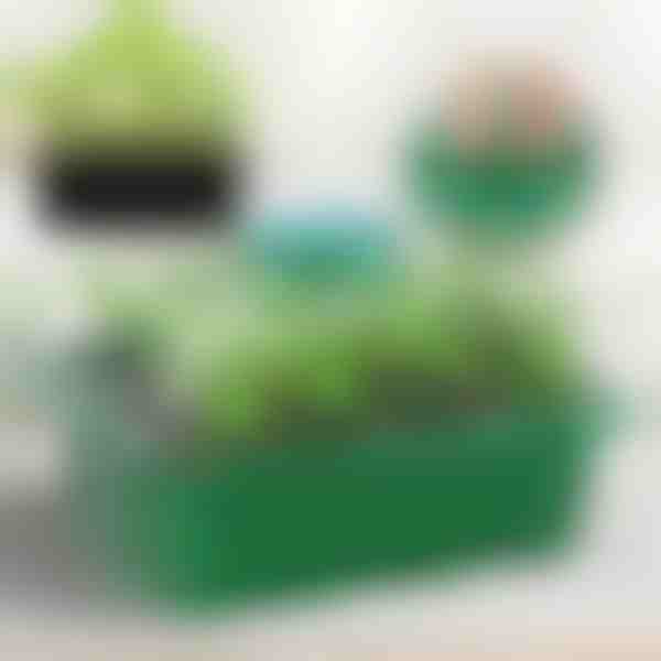 Δίσκος για καλλιέργεια φυταρίων με διαμερίσματα | PLANTURKA