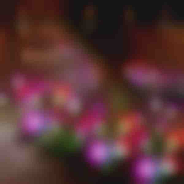 Φωτιστικά κήπου με ηλιακά λουλούδια | BLOSSUN