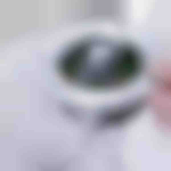 Αναδυόμενο φίλτρο νεροχύτη | DRAINIPRO