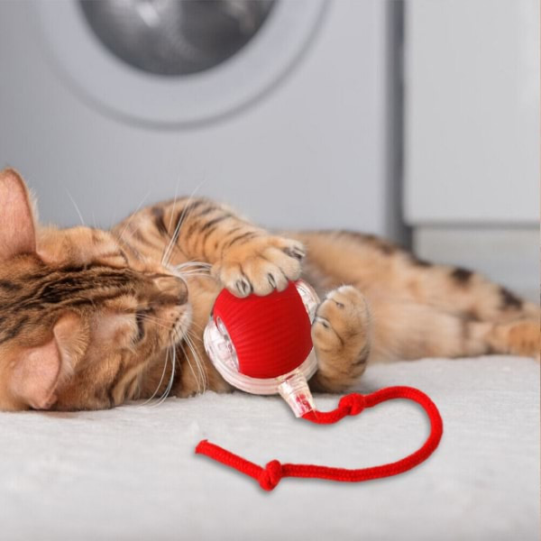 Παιχνίδι για κατοικίδια που κινείται με την αφή | GATOPLAY