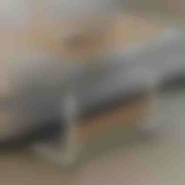 Φορητό τραπέζι | EVOSTUL