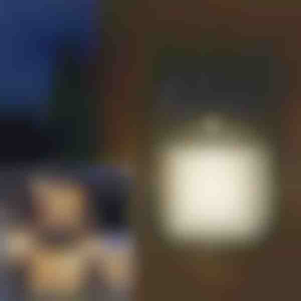 Εξωτερικό ηλιακό φως με αισθητήρα κίνησης | FLUXLAMP