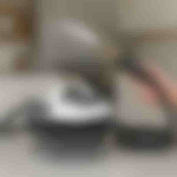 Καθαριστής ατμού υψηλής πίεσης | STEAMAX