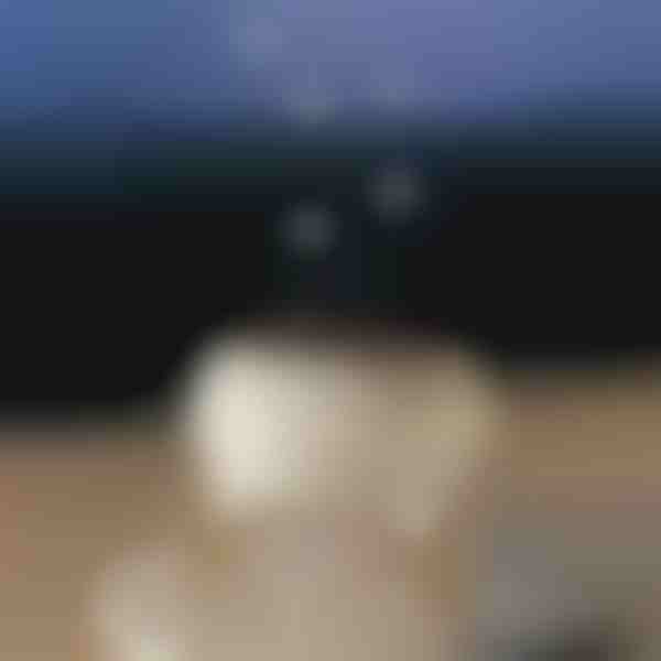 Διαχυτής αρώματος χαλάρωσης | MEDUSAMIST