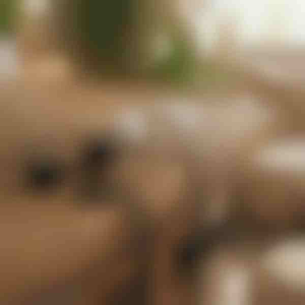 Μαγνητικός αυτοκόλλητος οργανωτής καλωδίων (12 τεμάχια) | CABLIP