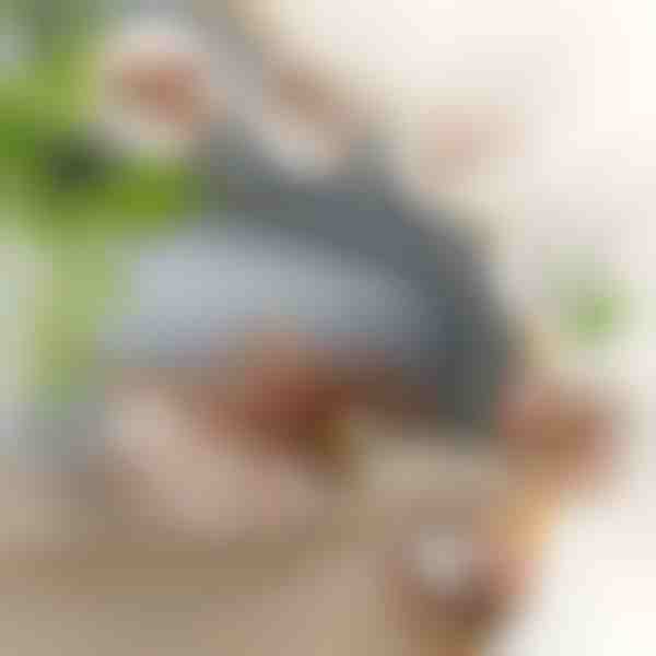 Διαδραστικό παιχνίδι πουλιού με φτερούγισμα | CHIRRCAT