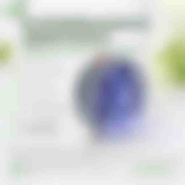 Ηλιακή εντομοπαγίδα παραθύρου - UV φως, 8 ώρες λειτουργίας | BUZZORA