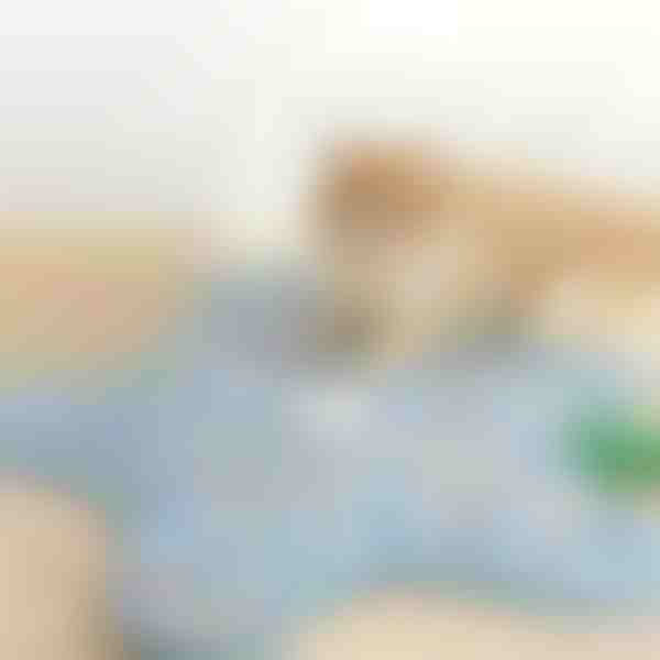 Αυτόματο παιχνίδι κυνηγιού για γάτες | MEOWMATIC